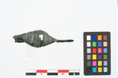 Foto von Bronzekahnfibel (NHMW-PRAE-024655)